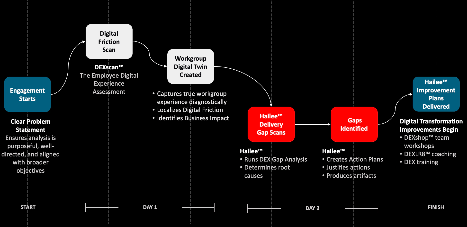 Hailee's 48-hour workflow